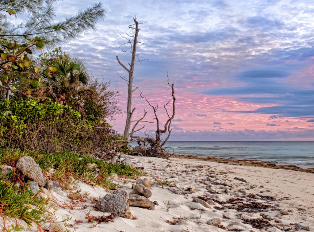Tranquil tropical beach sunset with white sand rocky outcrops lush greenery and silhouetted tree Wallpaper