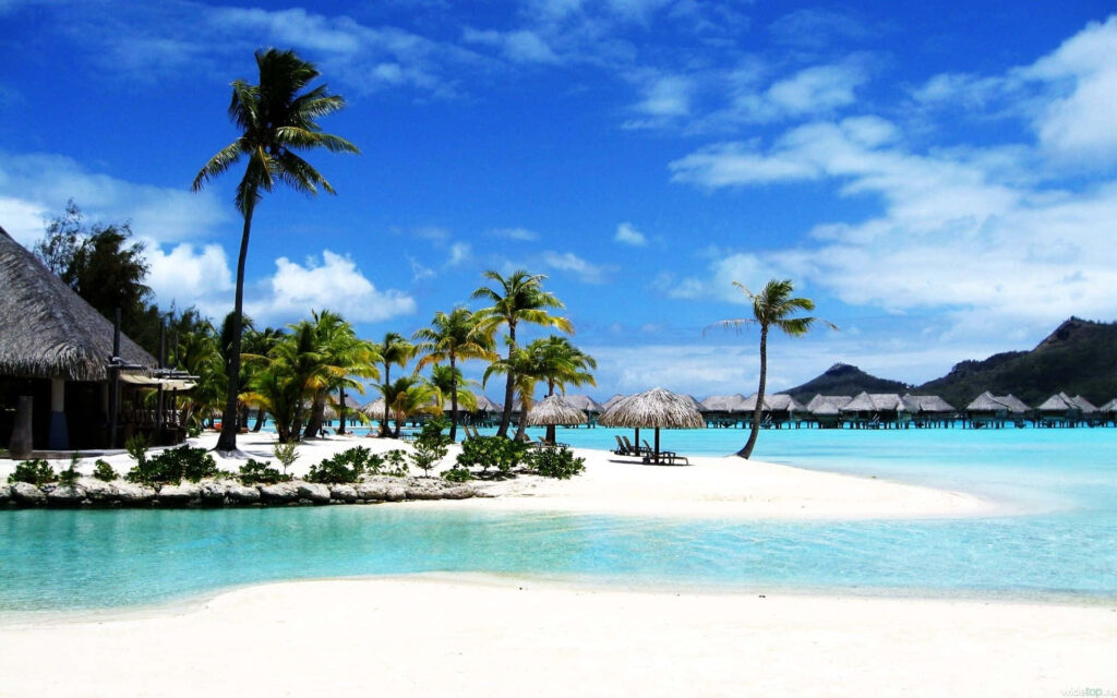 Tranquil Tropical Beach Paradise: Clear Skies & Turquoise Waters Wallpaper