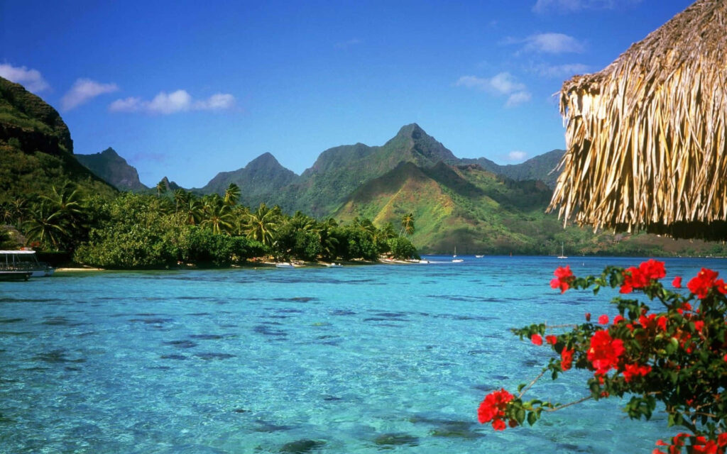 Tranquil Tropical Beach Wallpaper with Turquoise Waters & Lush Mountains