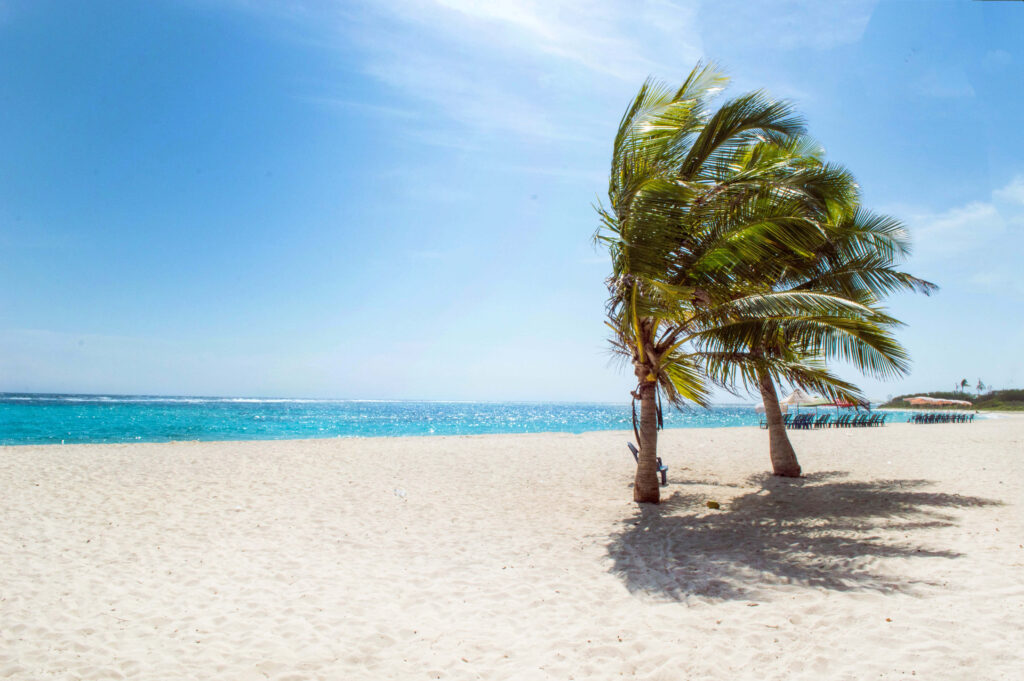 Tranquil Tropical Beach Wallpaper: White Sand & Turquoise Waters