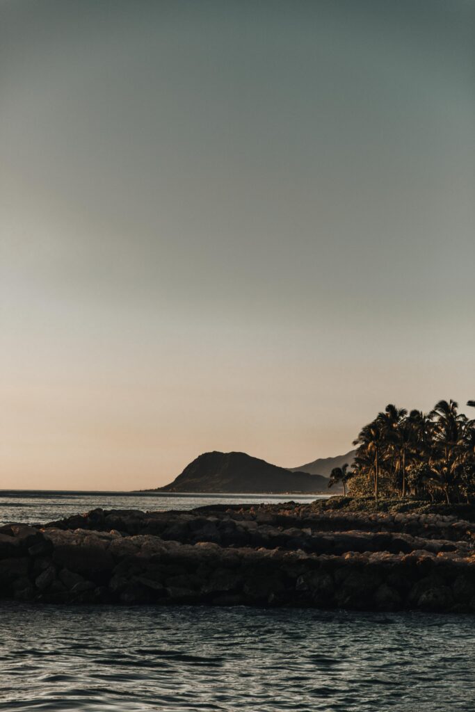 Sunset coastal wallpaper with rugged rocks palm trees gentle waves and distant mountain silhouette