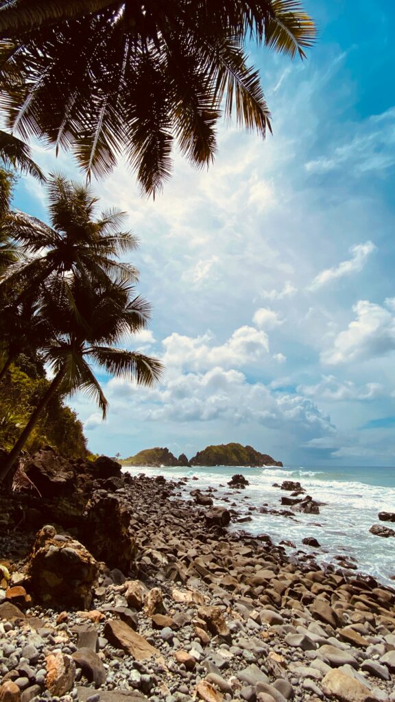 Tranquil tropical coastal scene with rocky shoreline palm trees blue sea and distant mountains Wallpaper