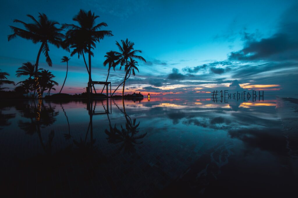 Tropical evening wallpaper with silhouetted palms reflected on calm ocean under vibrant sunset