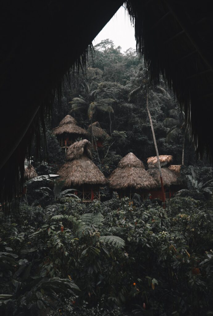 Rustic thatched roof huts hidden in lush tropical jungle with vibrant palm trees and foliage Wallpaper