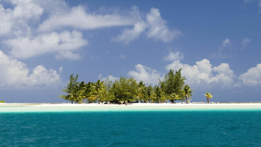 Tranquil tropical island wallpaper with lush palms turquoise ocean white clouds and clear sky