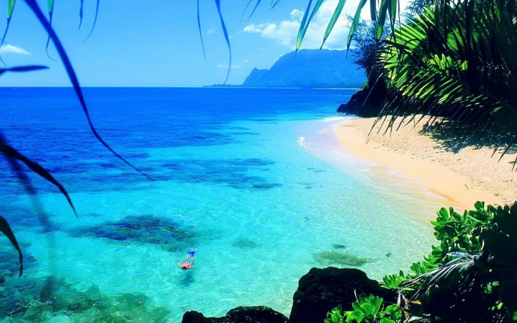 Tropical Ocean Landscape: Crystal-Clear Waters & Lush Green Foliage Wallpaper