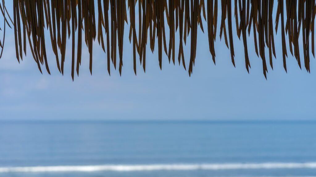Tranquil ocean view beneath tropical thatched leaves with calm blue water and clear sky wallpaper
