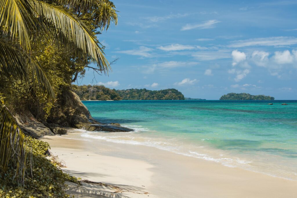 Tranquil tropical beach wallpaper with golden sand palm trees and clear turquoise sea under blue sky