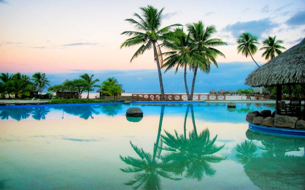 Tropical Paradise Wallpaper: Relaxing Sunset & Palm Trees Background