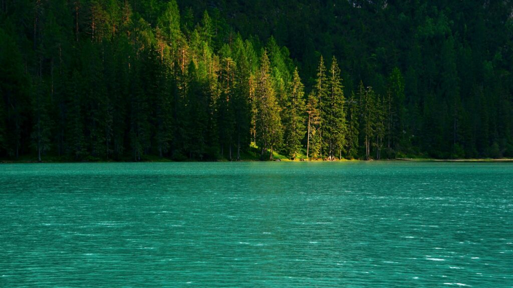 Tranquil turquoise lake reflecting green spruce trees under soft sunlight forest wallpaper