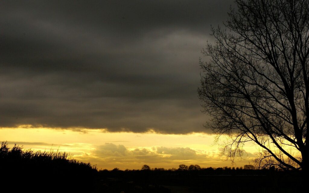 Tranquil twilight sky with dark clouds and silhouetted bare trees framing golden horizon wallpaper