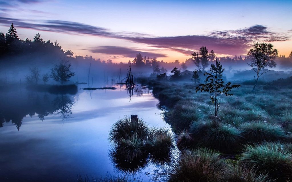 Serene misty pond at twilight reflecting purple and orange sky peaceful nature wallpaper background