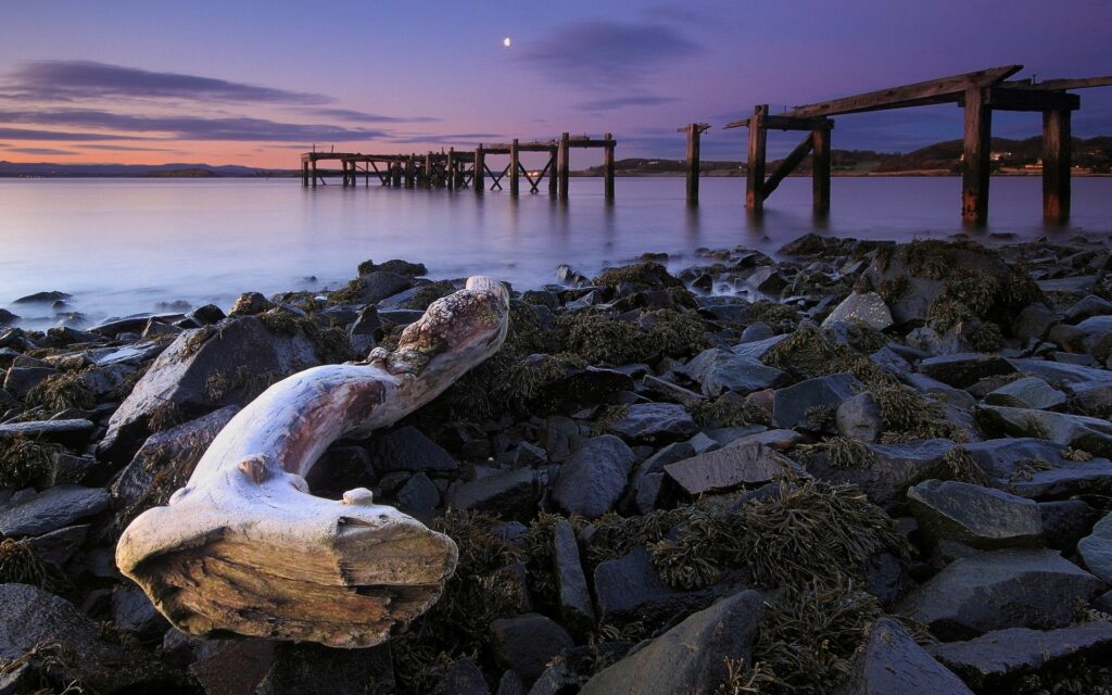 Tranquil shoreline with smooth rocks driftwood and old wooden pier under purple twilight sky Wallpaper