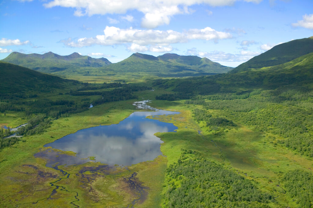 Tranquil valley with lush green hills reflective swamp and distant mountains under blue sky Wallpaper