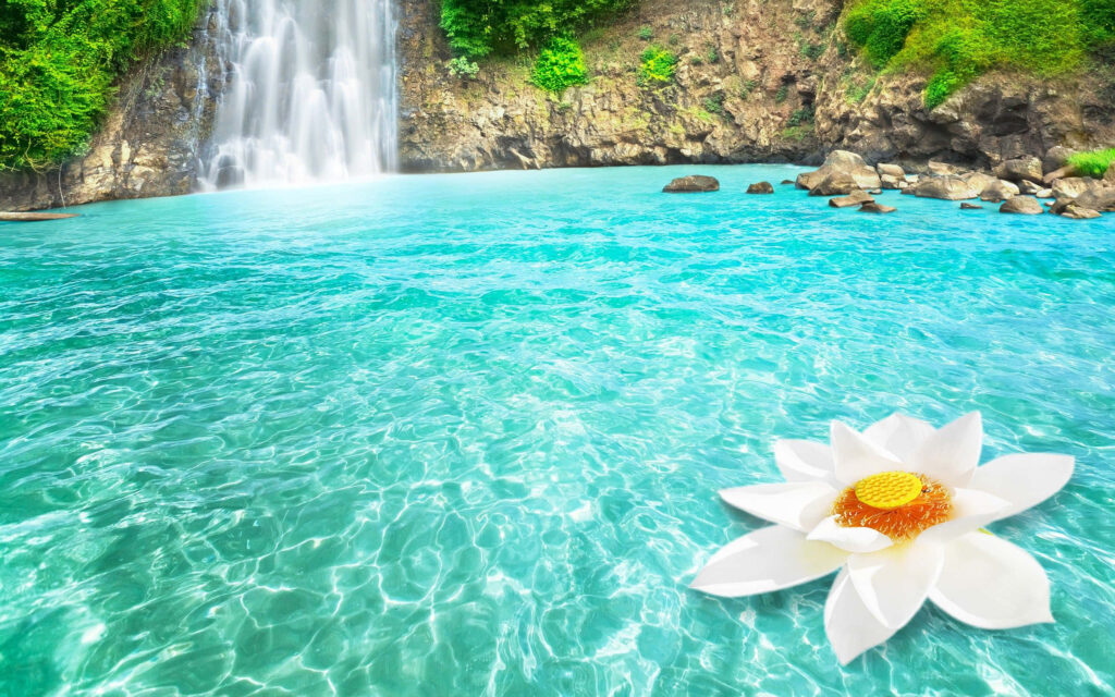 Serene Waterfall Wallpaper with Turquoise Pool and Lotus Flower
