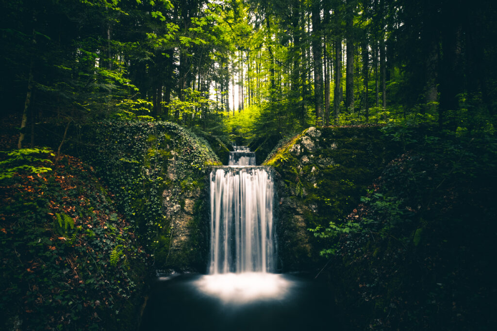 Waterfall cascading into forest pool surrounded by lush green trees and dense bushes wallpaper background