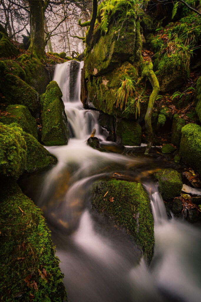 Tranquil waterfall over mossy stones surrounded by lush green trees and dense woodland foliage Wallpaper
