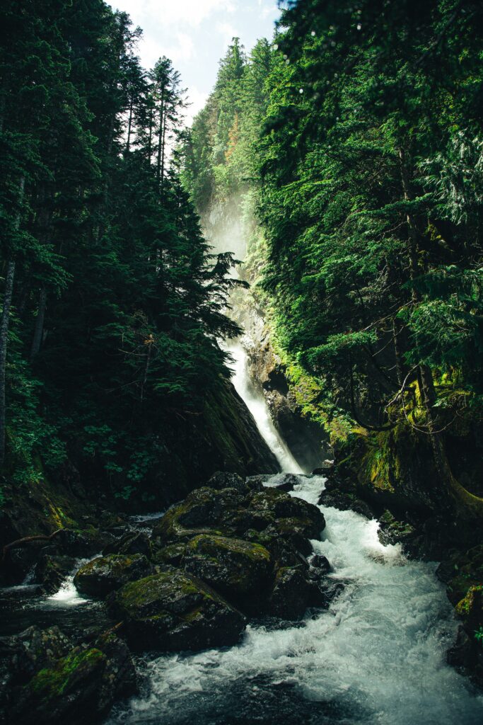 Serene waterfall cascading over dark stones surrounded by lush green forest in nature wallpaper