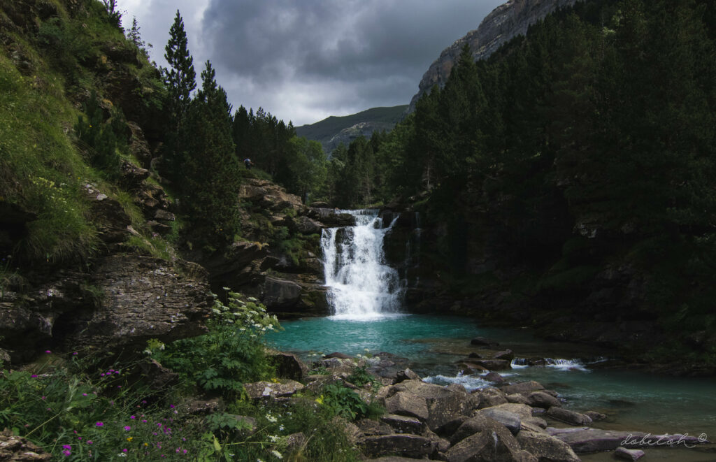Serene waterfall flowing over rocks into turquoise pool surrounded by lush trees and cloudy sky Wallpaper
