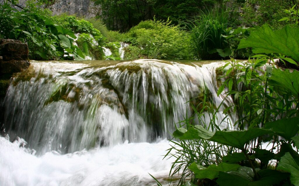 Tranquil waterfall cascading over lush rocks with dense green vegetation and burdock leaves Wallpaper