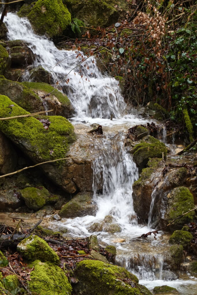 Serene waterfall cascading over mossy rocks in lush green forest natural landscape wallpaper background