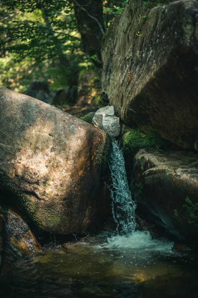 Serene waterfall cascading over mossy stones surrounded by lush green forest in soft sunlight Wallpaper