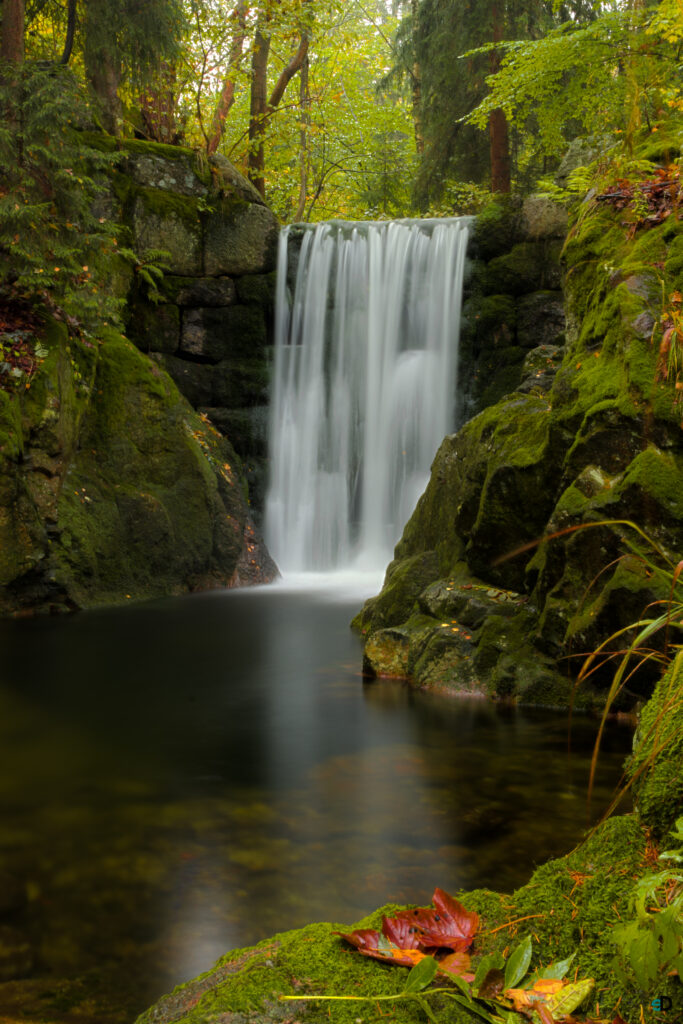 Serene waterfall flowing over rocks into calm pool surrounded by lush green moss and foliage Wallpaper