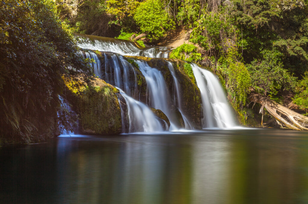 Serene waterfall over mossy rocks into calm stream surrounded by lush green foliage wallpaper