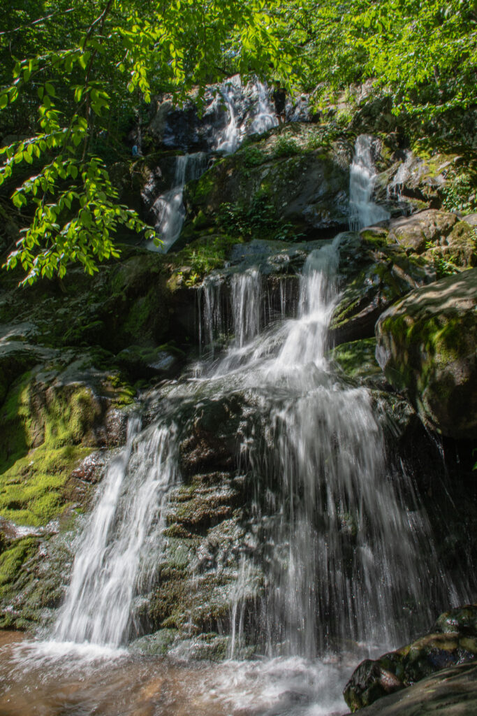 Serene waterfall cascading over mossy rocks with lush greenery and sunlight filtering through trees Wallpaper