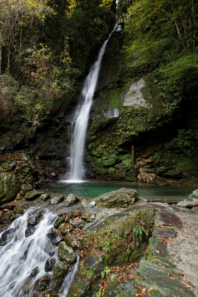 Serene waterfall over mossy stones into clear pool surrounded by lush green forest landscape wallpaper