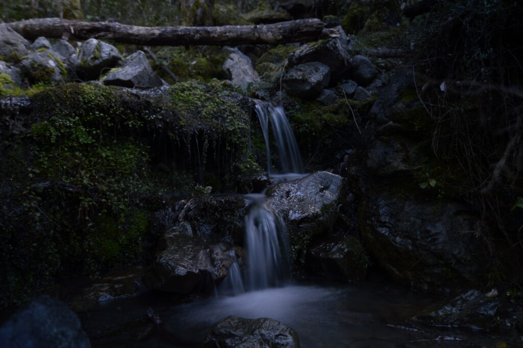 Serene waterfall over mossy stones in lush forest with fallen log soft natural lighting wallpaper