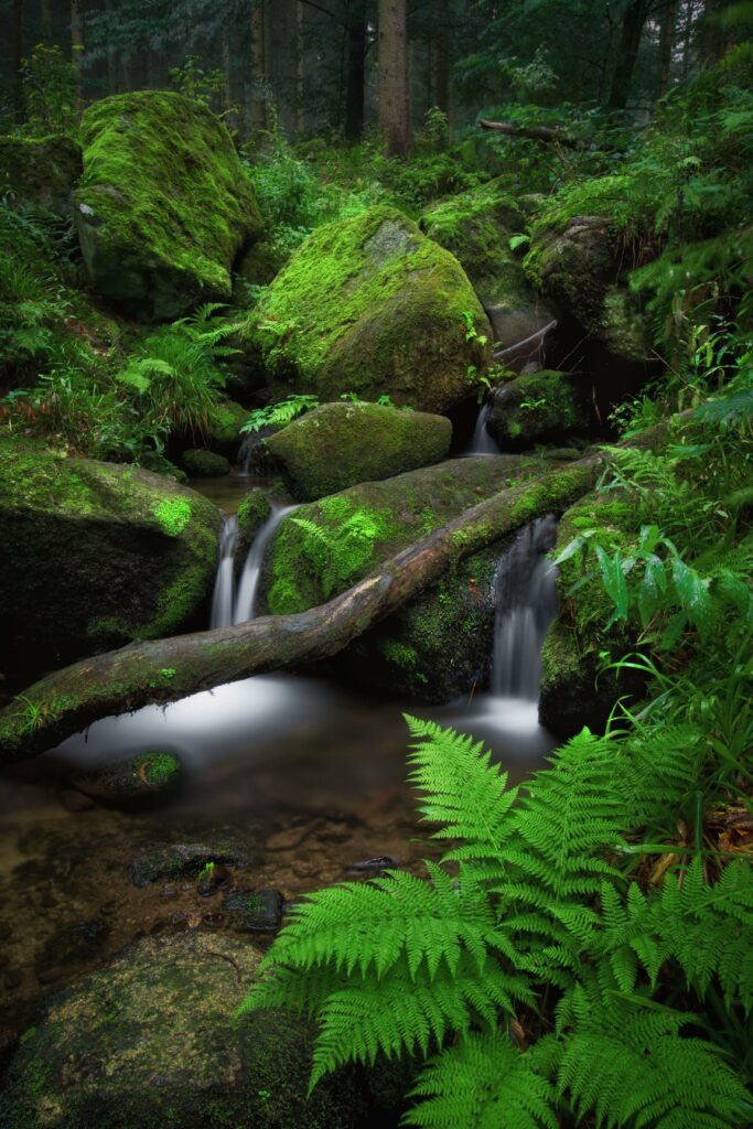 Tranquil waterfall over mossy stones in misty forest with lush ferns and soft sunlight Wallpaper