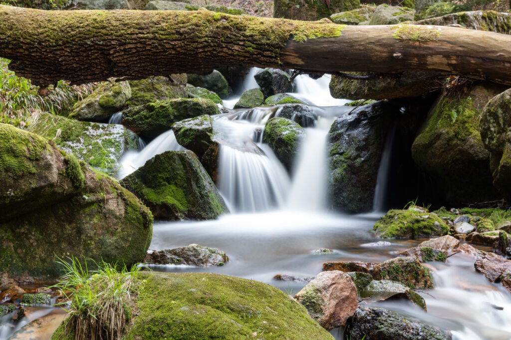 Tranquil waterfall over mossy stones with fallen log in lush green forest wallpaper background