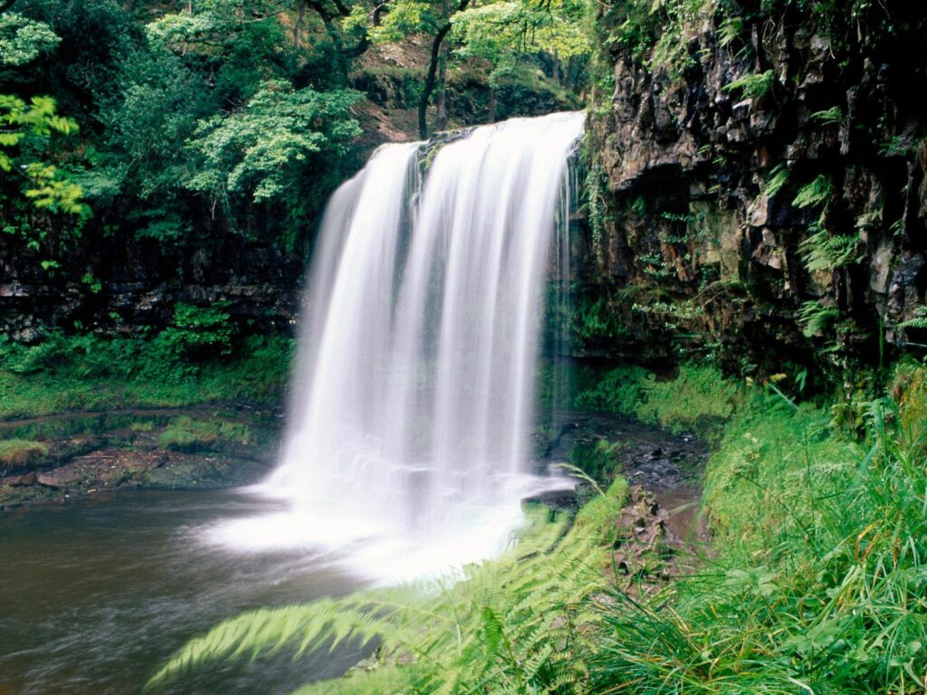 Serene waterfall over rocky cliffs surrounded by lush green ferns in southern Wales national park Wallpaper