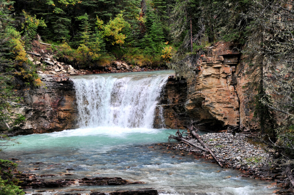 Vibrant waterfall flowing over rocks into turquoise stream with dense bushes and evergreen trees Wallpaper