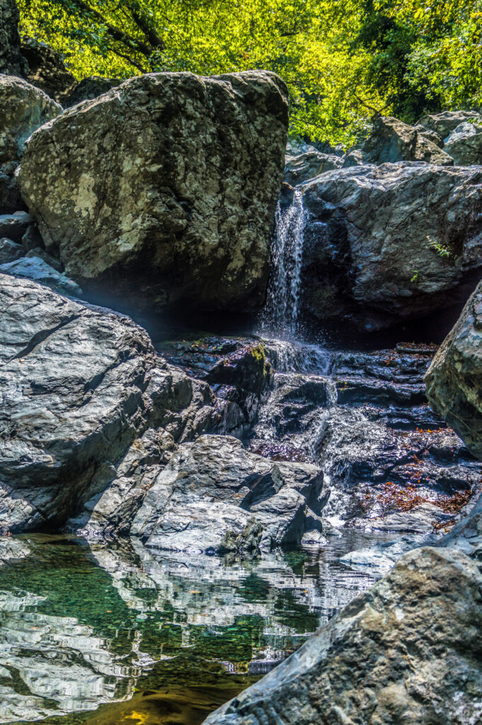Tranquil waterfall cascading over rocks with clear stream and lush green forest background Wallpaper