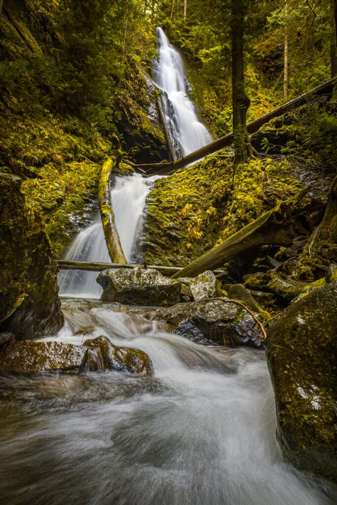 Waterfall flowing over rocks with lush green trees and mossy logs in a vibrant forest scene Wallpaper