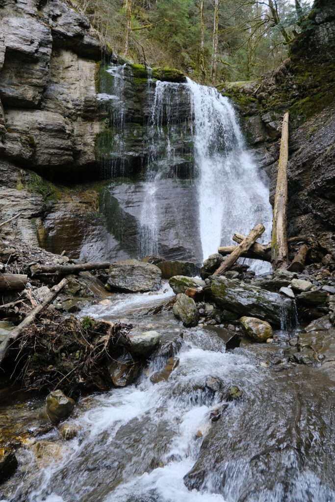Serene waterfall cascading over rugged rocks into river with lush green forest background wallpaper