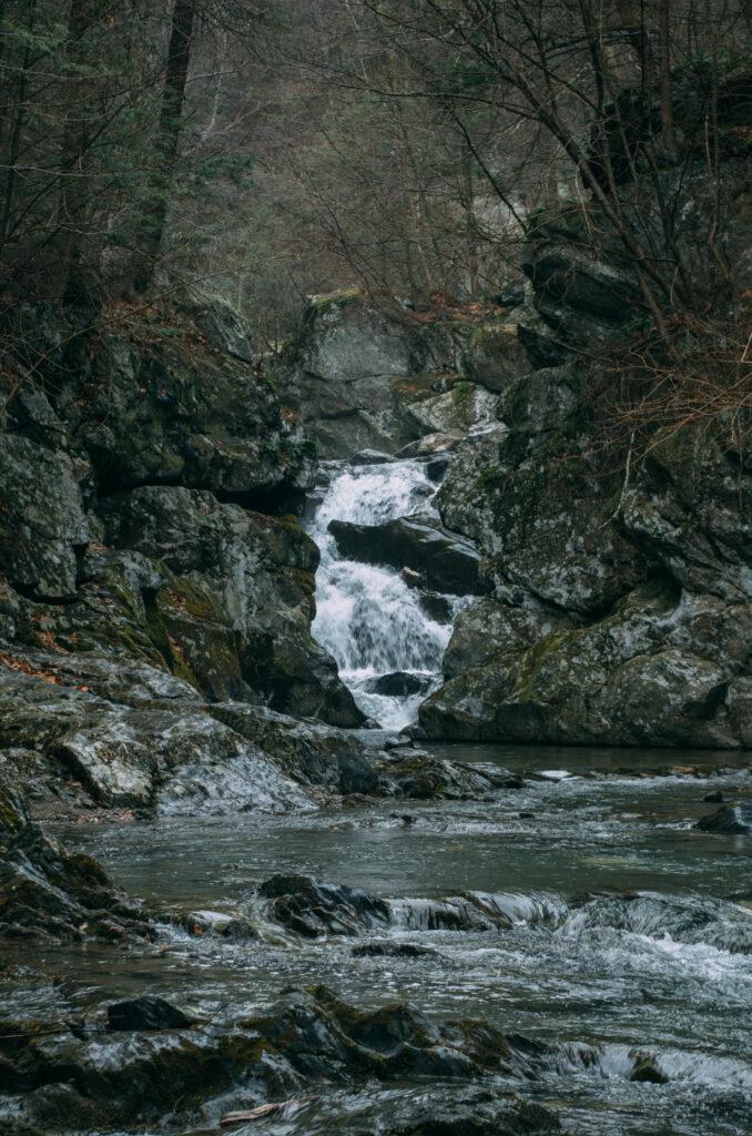Serene waterfall cascading over rugged stones in dense forest with cool blues and earthy browns Wallpaper