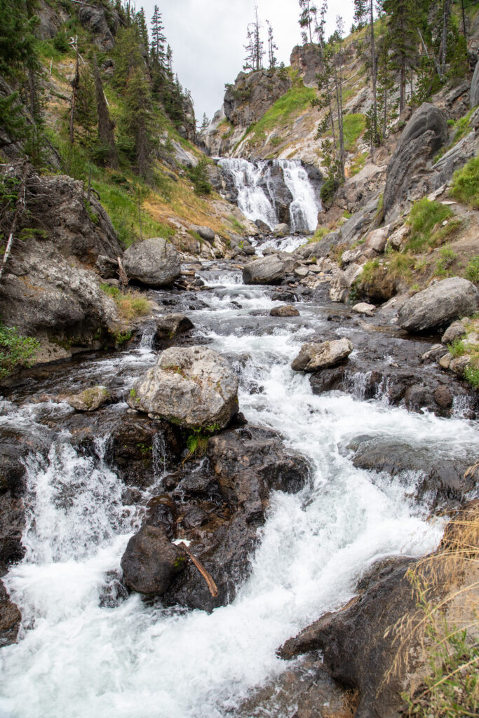 Waterfall cascading over rocks into river surrounded by pine trees and lush green forest wilderness Wallpaper