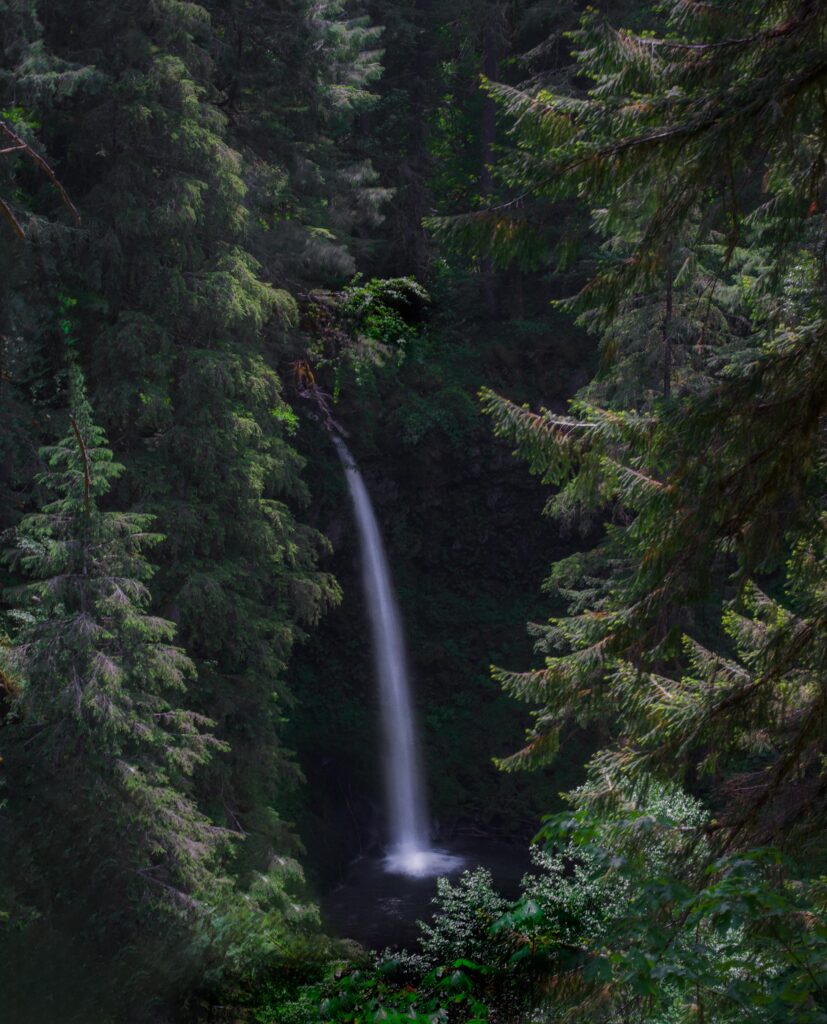 Serene waterfall cascading into pool surrounded by lush green forest and natural light background Wallpaper