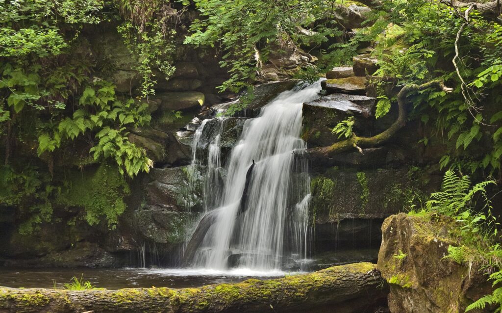 Serene waterfall cascading over mossy rocks with lush green plants peaceful natural wallpaper background
