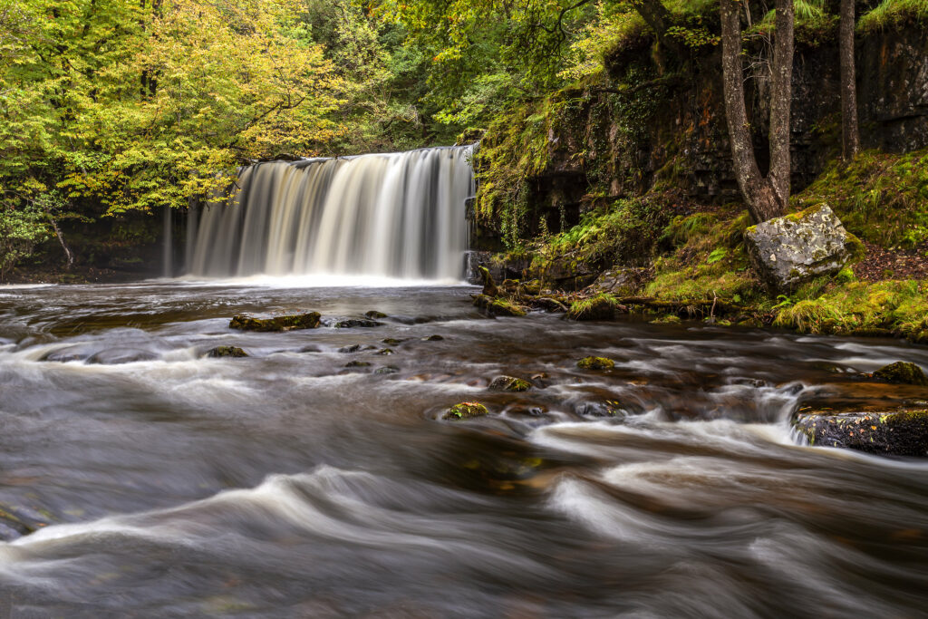 Tranquil waterfall flowing into clear river surrounded by lush green trees and vibrant nature Wallpaper