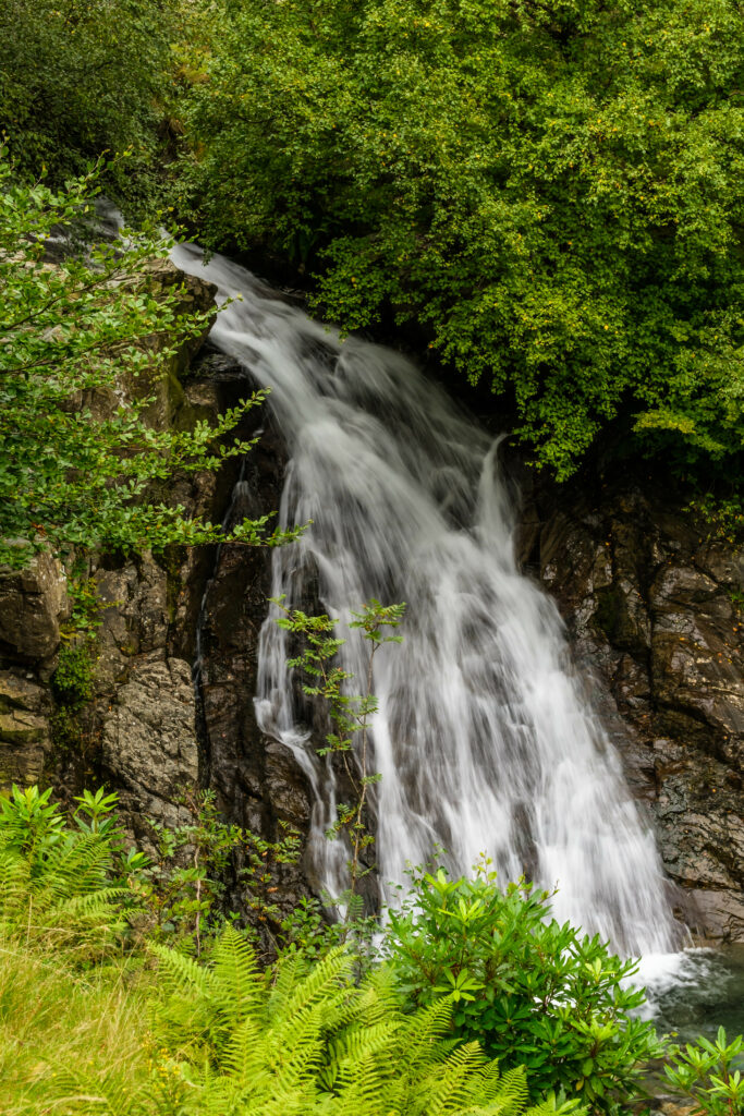 Serene waterfall flowing over rugged stones surrounded by lush green plants and ferns wallpaper
