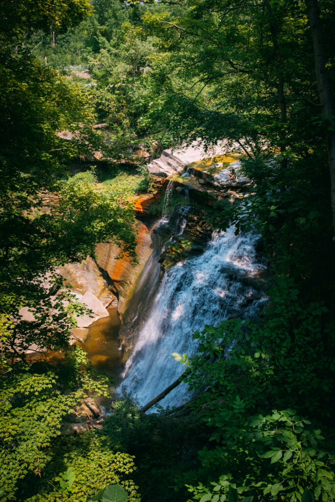 Vibrant waterfall in lush green forest with sunlight filtering through dense foliage wallpaper background