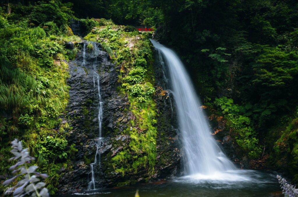 Tranquil waterfall flowing down rocky cliff with green foliage and red bridge in forest landscape Wallpaper