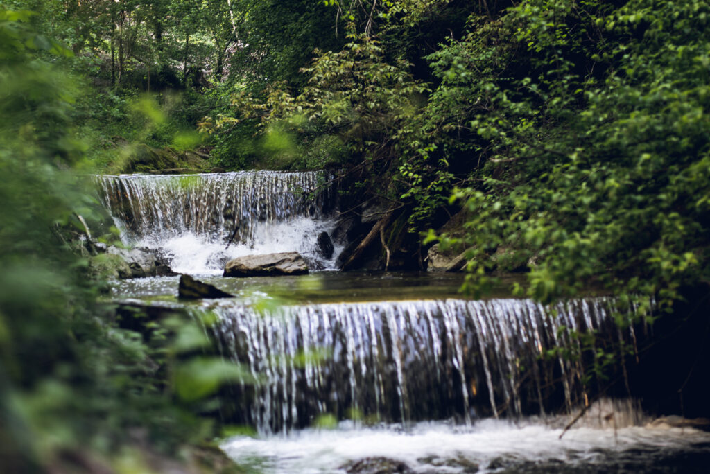 Tranquil waterfall cascading over smooth stones surrounded by lush green foliage wallpaper background