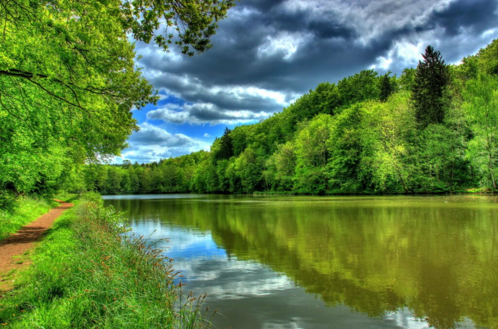 Tranquil Waterscape: A Serene Journey through the Verdant Riverbank Wallpaper