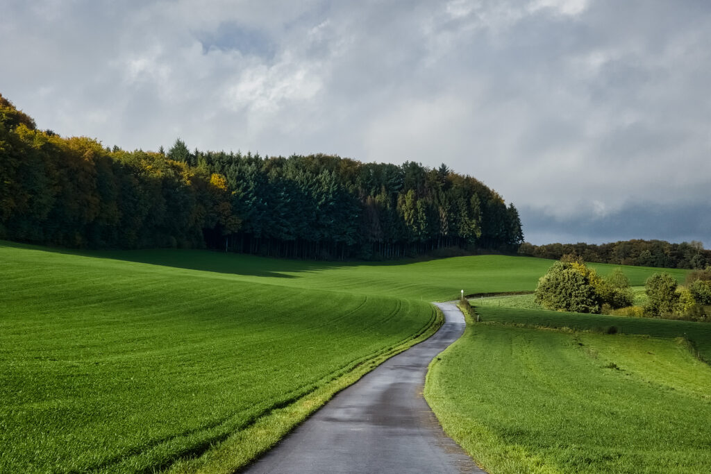 Winding road through green fields and forest under partly cloudy sky serene nature wallpaper