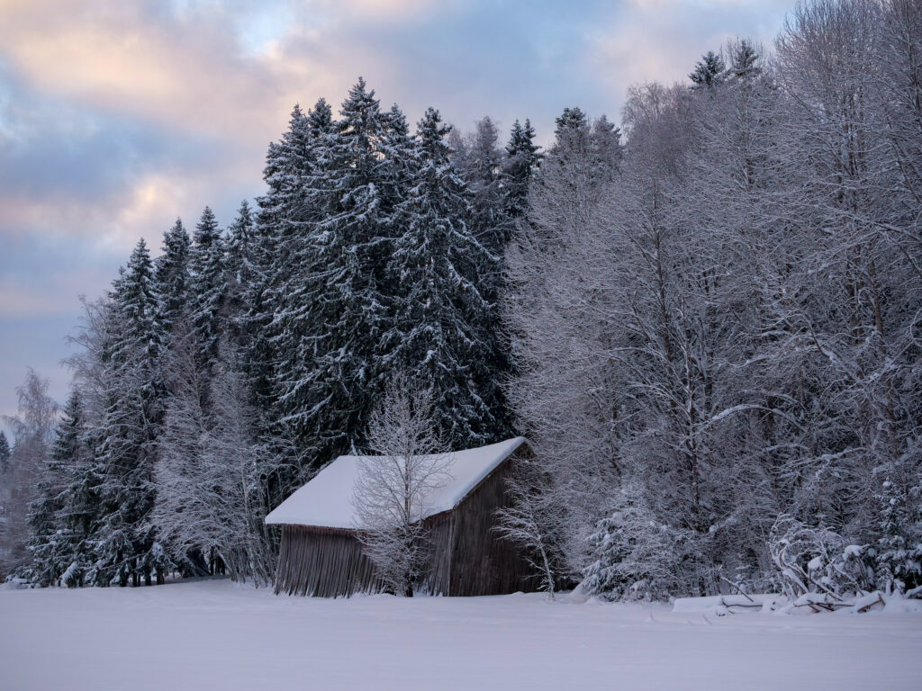 Tranquil winter wallpaper with rustic hut and snow-covered forest under pastel sky background